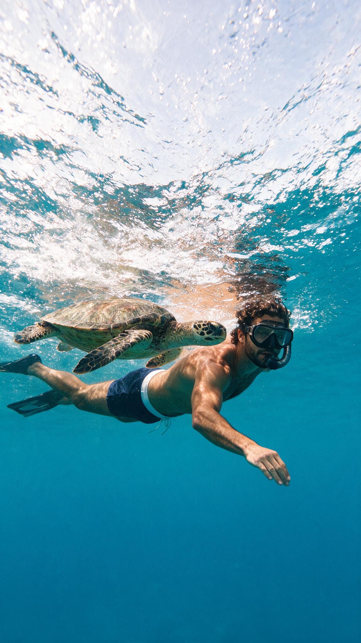 Iago Alba practicando snorkel con una tortuga marina, imagen ilustrativa sin destino atribuido