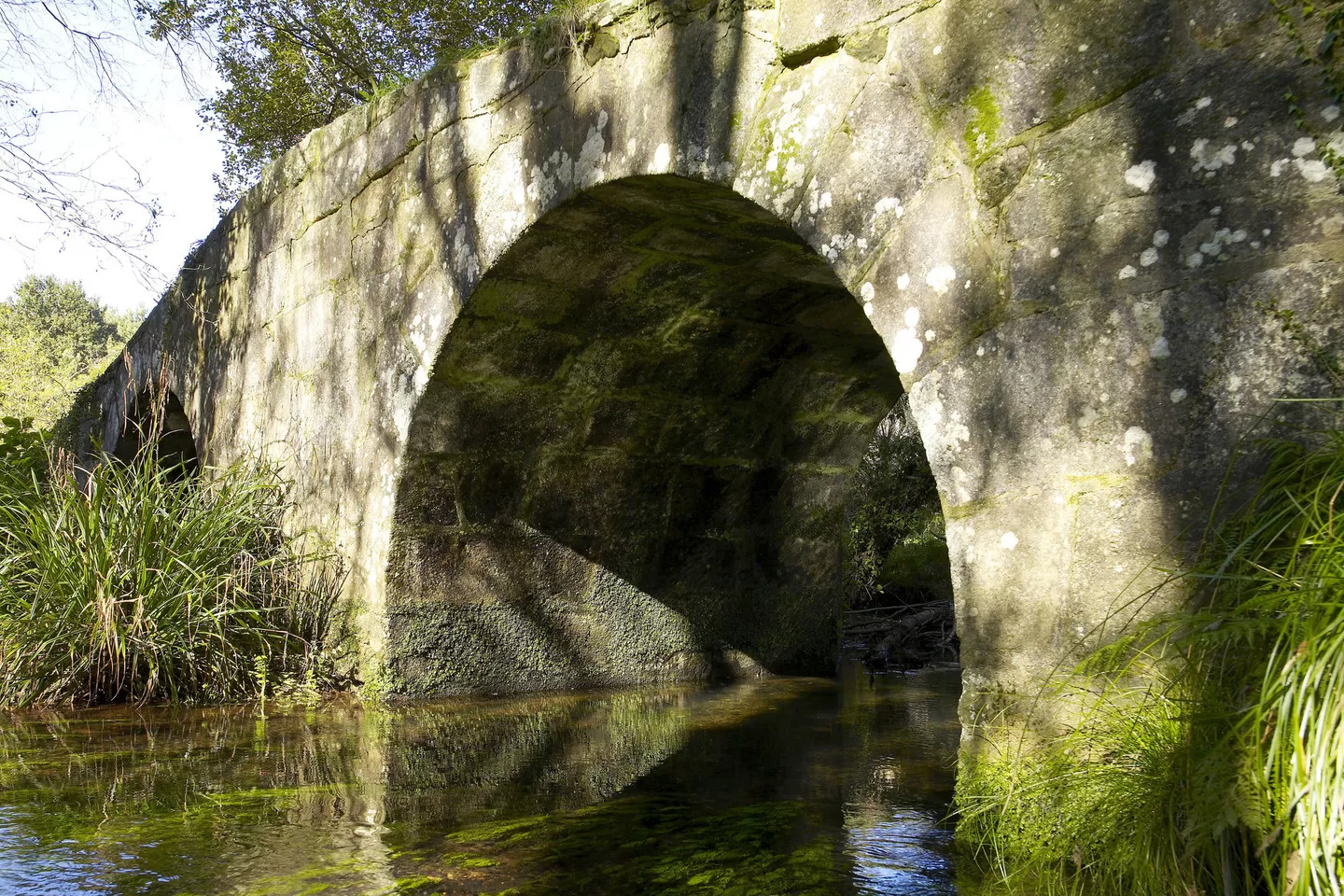 Ponte Busacos, Vedra